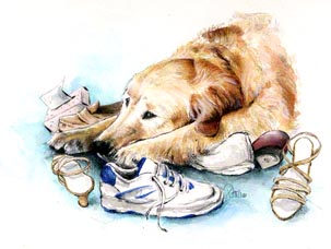 Golden in Trouble ~ illustration by Patrice for Dogs in Canada Magazine