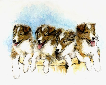 Heather's Shelties ~ Watercolour by Patrice Heather's Shelties ~ Watercolour by Patrice