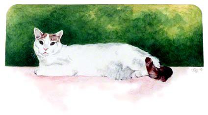 Sharon's Kitty ~ Watercolour by Patrice