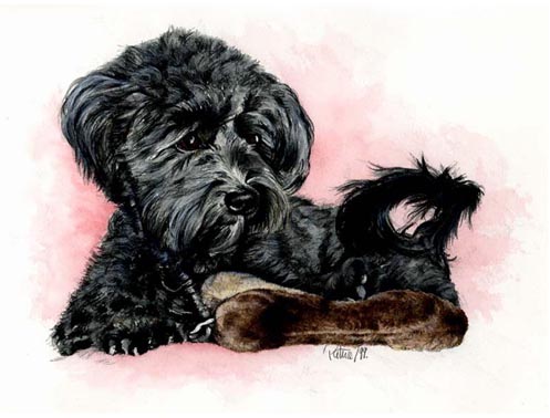 Brave Lucy ~ Watercolour by Patrice Brave Lucy ~ Watercolour by Patrice