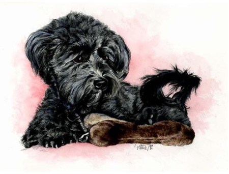 Lucy ~ Watercolour by Patrice Lucy ~ Watercolour by Patrice