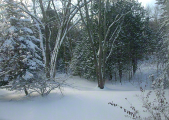 Fields of Snow ~ Photo by Patrice