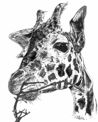 giraffe ~ art by Patrice