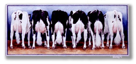 Cow Butts ~ Watercolour by Patrice Cow Butts ~ Watercolour by Patrice