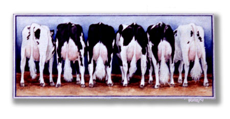 Cow Butts ~ Watercolour by Patrice Cow Butts ~ Watercolour by Patrice