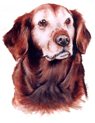 Patrice's Watercolour Art of Misty