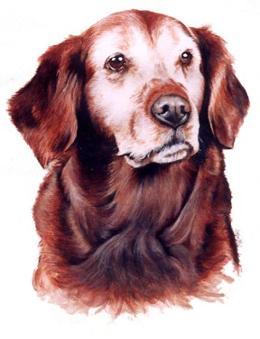 Patrice's Watercolour Art of Misty