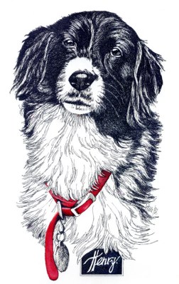 Henry ~ art by Patrice