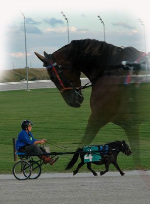 Little Racing ~ Photo by Patrice Little Racing ~ Photo by Patrice