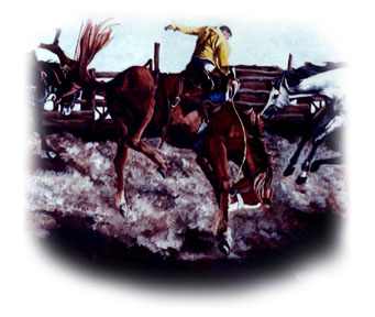 Bucking Horse ~ illustration by Patrice