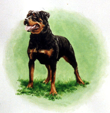 Rottweiler ~ painting by Patrice Rottweiler ~ painting by Patrice