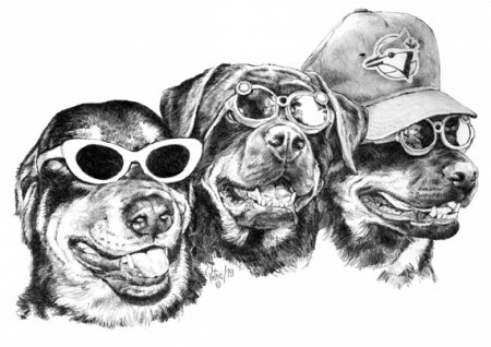 3 Rotties ~ Illustration by Patrice 3 Rotties ~ Illustration by Patrice