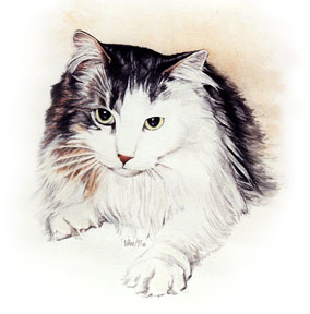 Longhaired Kitty ~ Painting by Patrice Longhaired Kitty ~ Painting by Patrice