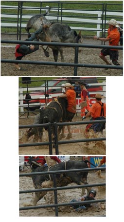 Falling ~ Photo by Patrice Falling ~ Photo by Patrice