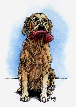 Topaz ~ Illustration by Patrice