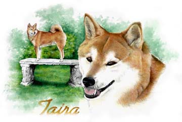 Taira ~ Watercolour by Patrice Taira ~ Watercolour by Patrice