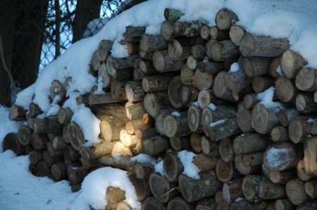 Sunlight on wood ~ photo by Patrice Sunlight on wood ~ photo by Patrice