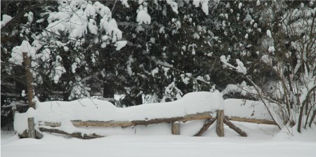 Snow Blanket ~ Photo by Patrice