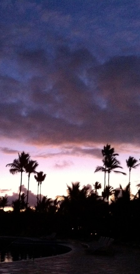 Palm Tress in the Sunset ~ photo by Patrice