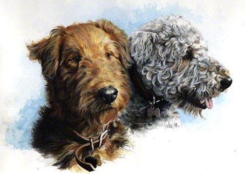 Connie's Airdales ~ Watercolour by Patrice Patrice's Watercolour Portrait Art