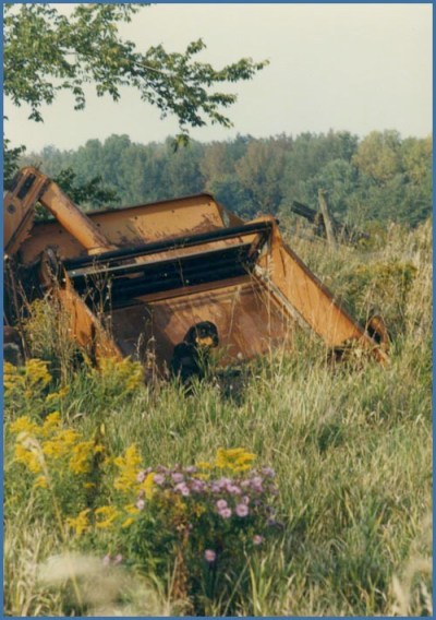 Teddy at the farm ~ Photo by Patrice