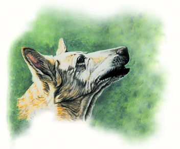 Love and Tenderness ~ Painting by Patrice