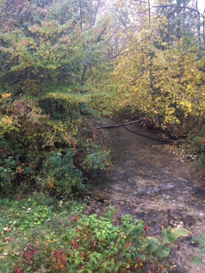 Black Creek ~ photo by Patrice
