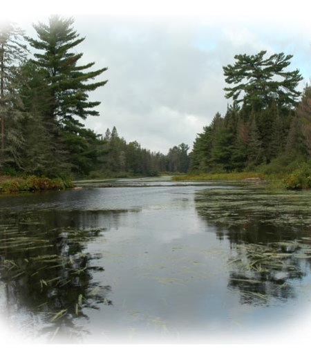 Marten River ~ Photo by Patrice Marten River ~ Photo by Patrice