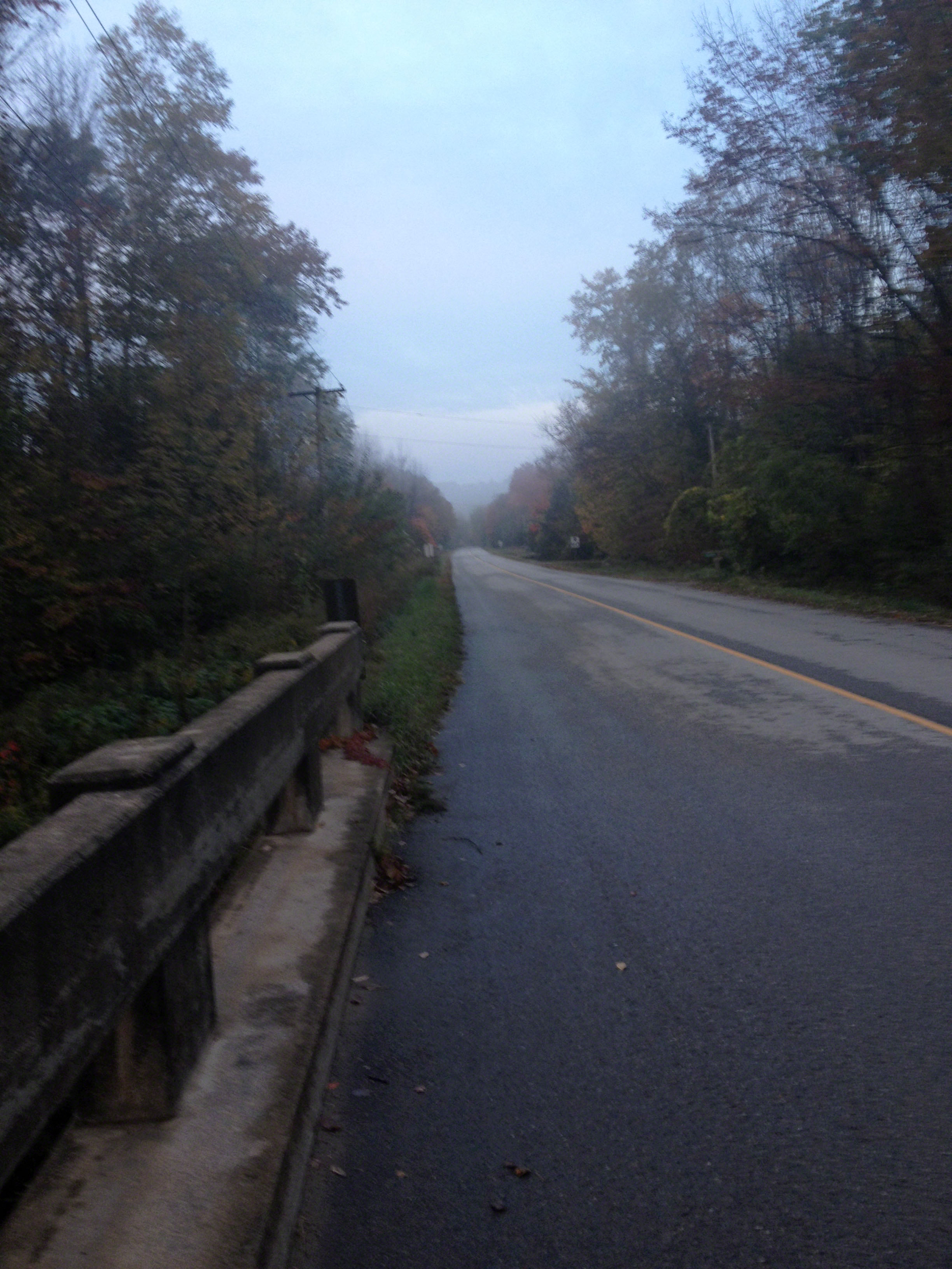 CreekRoad ~ photo by Patrice