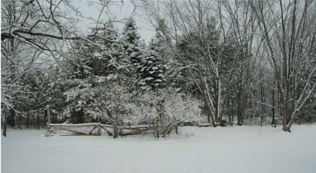 First Snow ~ photo by Patrice – PatriceClarkson.com