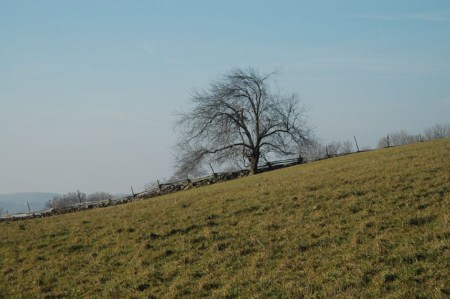 Mulmur Hills Farmland ~ Photo by Patrice