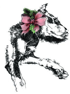 Patti ~ illustration by Patrice