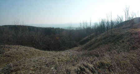 Rolling Hills ~ Photo by Patrice Rolling Hills ~ Photo by Patrice