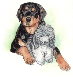 Teddy and Nickie ~ illustration by Patrice Teddy and Nickie ~ illustration by Patrice