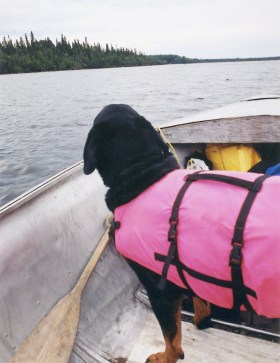 Monty boating ~ photo by Patrice