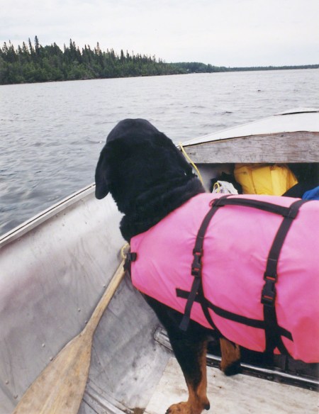 Monty boating ~ Photo by Patrice