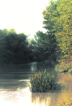 Crossing at Nanticoke Creek ~ photo by Patrice Crossing at Nanticoke Creek ~ photo by Patrice