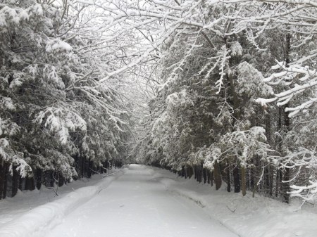 Winter's Lane ~ Photo by Patrice Winter's Lane ~ Photo by Patrice