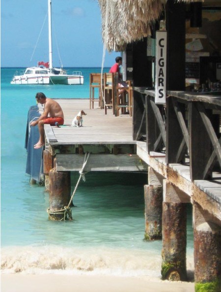 Aruba contemplating ~ Photo by Patrice