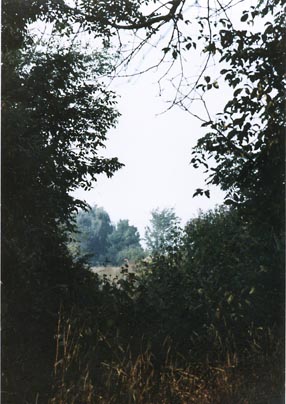 Farm view ~ Photo by Patrice Farm view ~ Photo by Patrice