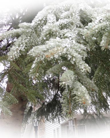 Freezing Rain ~ photo by Patrice