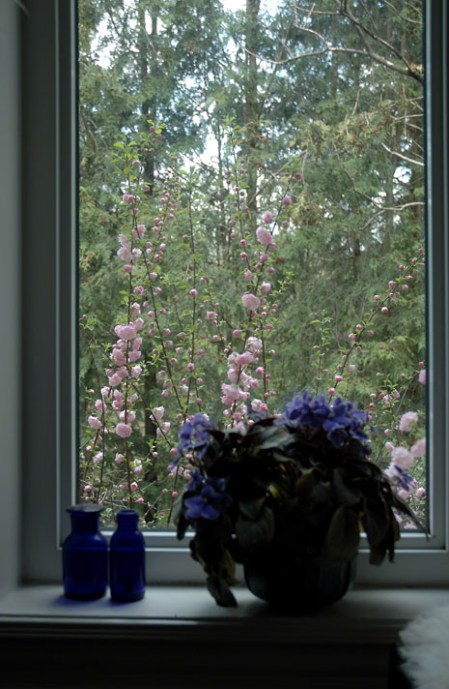 Thru My Window ~ Photo by Patrice