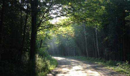 Filtered Sun ~ photo by Patrice