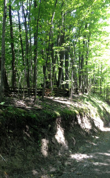 Road and Rail Fence ~ Photo by Patrice