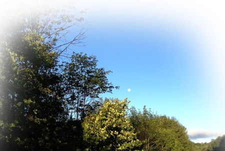 Day Moon ~ Photo by Patrice