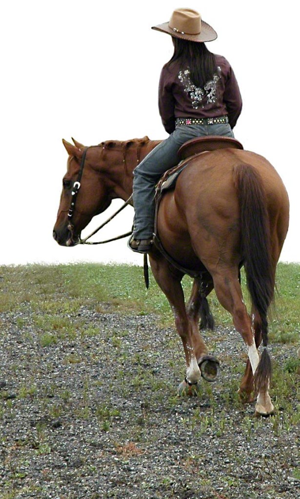 Rodeo Rider ~ Photo by Patrice Rodeo Rider ~ Photo by Patrice