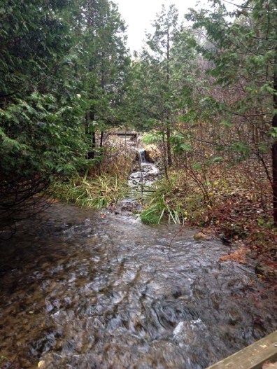 Rainy Waterfall ~ photo by Patrice