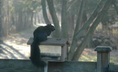 Moving Pass ~ Photo by Patrice