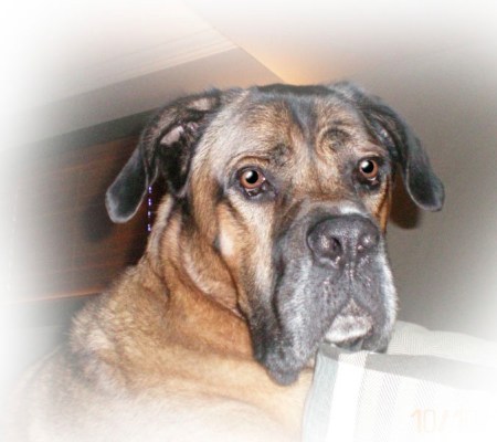 Kado ~ Photo by Scott and Lorraine