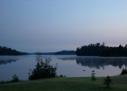 Evening Blends ~ Photo by Patrice